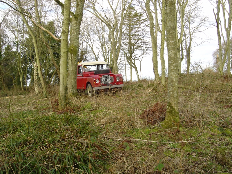 15th March 2008 006